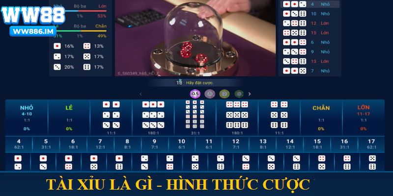 Khám Phá Các Cửa Cược Tài Xỉu Phổ Biến